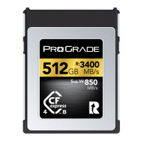 Prograde Digital CFexpress Type B 4.0 Memory Card Gold 記憶卡 512GB [R:3400 W:850]