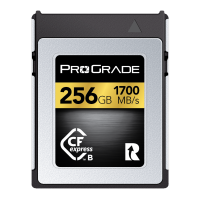 Prograde Digital CFexpress Type B 4.0 Memory Card Gold 記憶卡 512GB [R:3400 W:850]