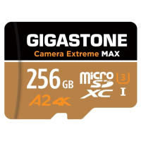 Gigastone Camera Extreme Max A2 4K U3 Class 10 microSDXC 記憶卡 256GB [R:160 W:130]
