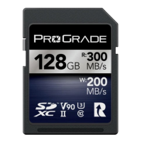 Prograde Digital SDXC UHS-II V90 300R Iridium 記憶卡 128GB [R:300 W:200]