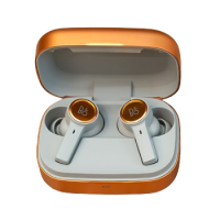 B&O Beoplay Eleven 真無線入耳式主動降噪耳機