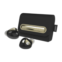 AVIOT 入耳式藍牙耳機 TE-J2