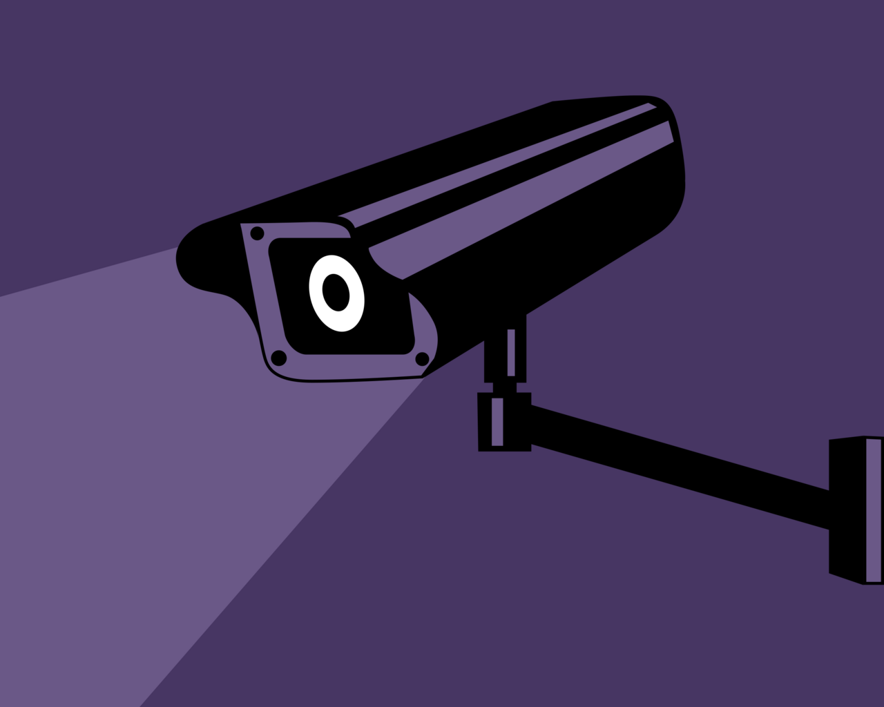 hidden camera — 示意圖